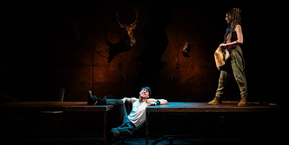 Ronja, dcera loupežníka