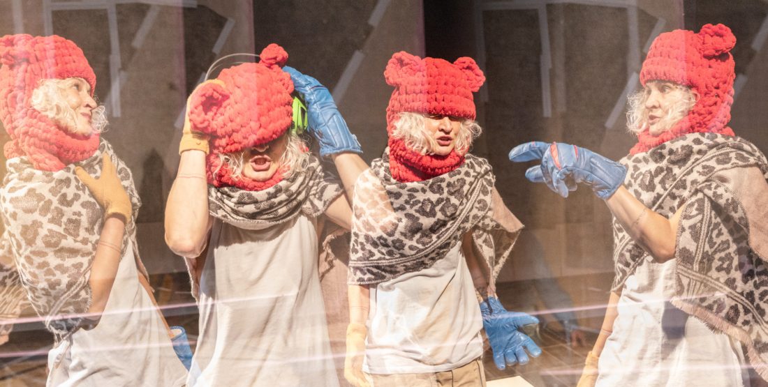 Endemité: Příběhy mizení