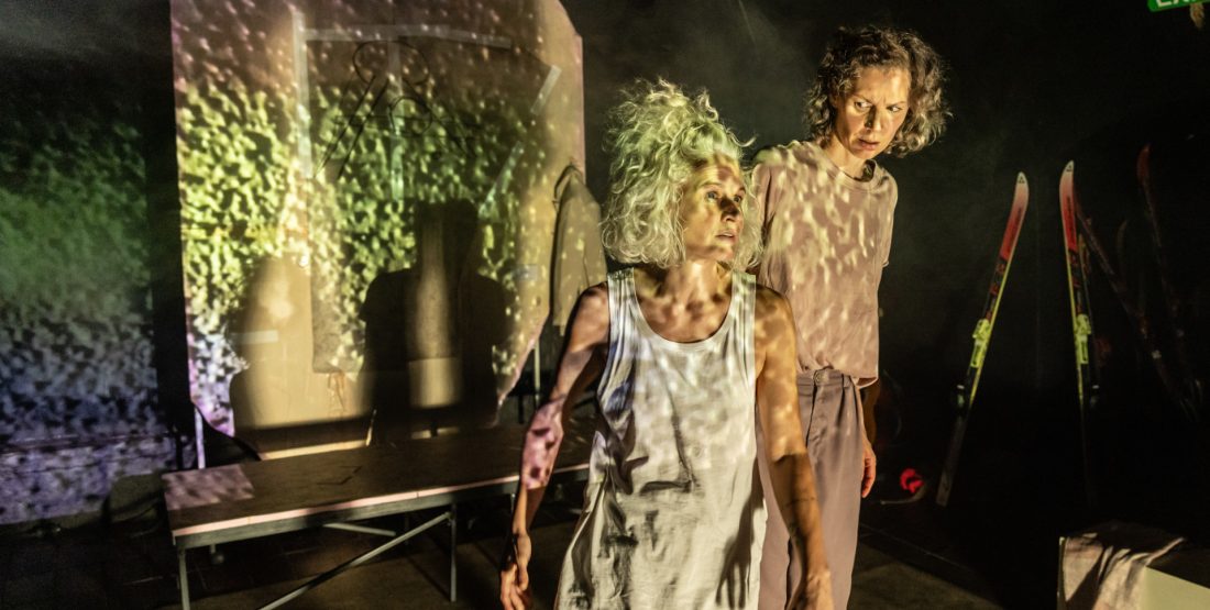 Endemité: Příběhy mizení