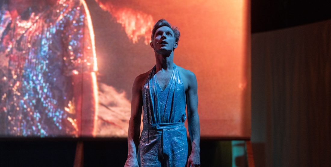 Divoká kachna